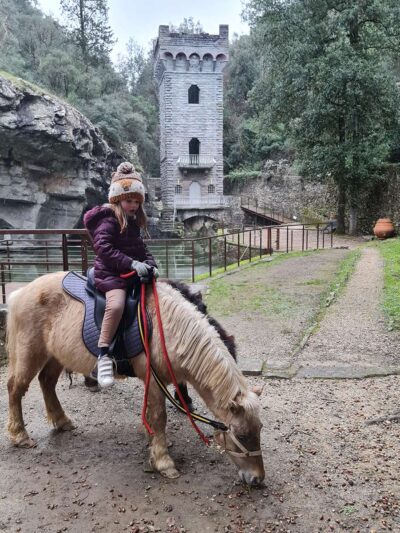 Fattoria di Maiano — Agriturismo Biologico Fiesole — Fiesole