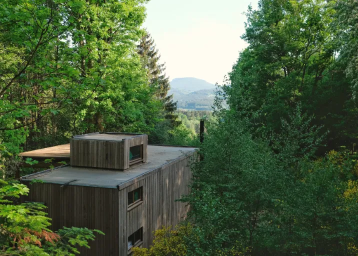 Nutchel Forest Village – Alsace — Plaine
