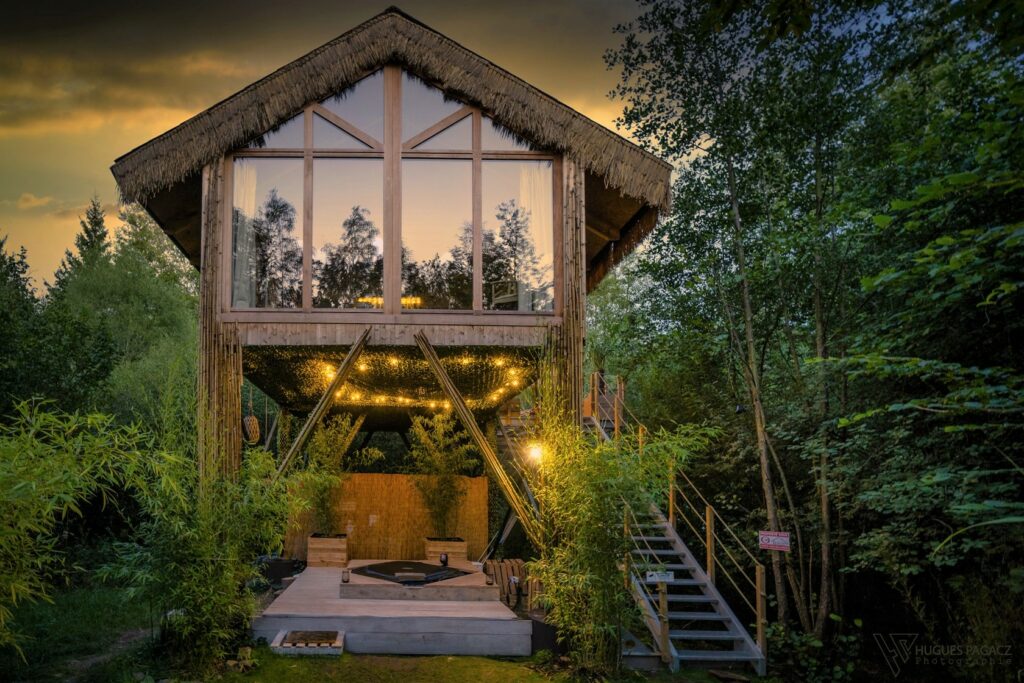 Cabane Sauvage — Wild Hut — Erezée
