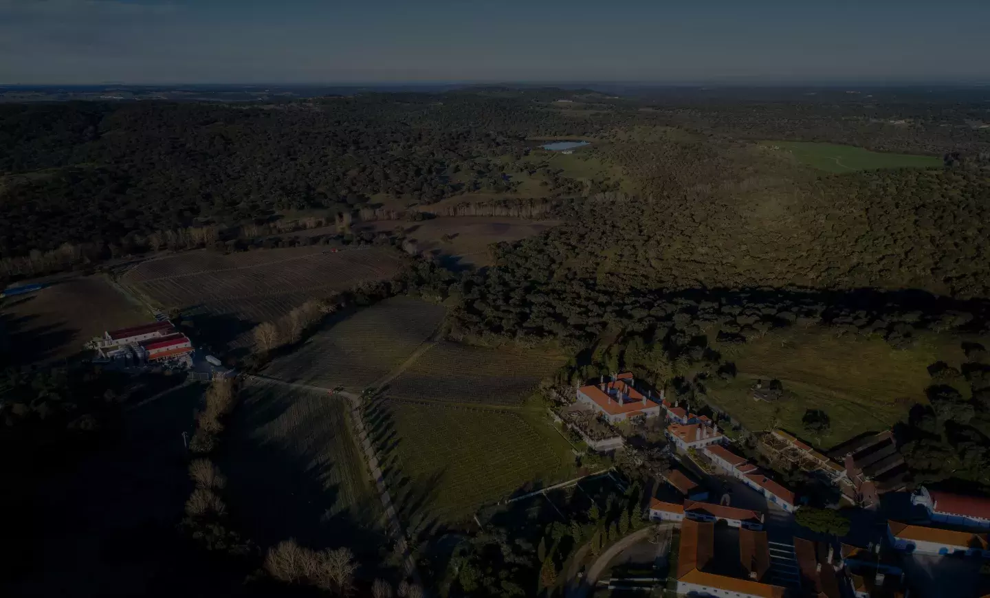 Monte da Ravasqueira — Enoturismo Alentejo — Arraiolos