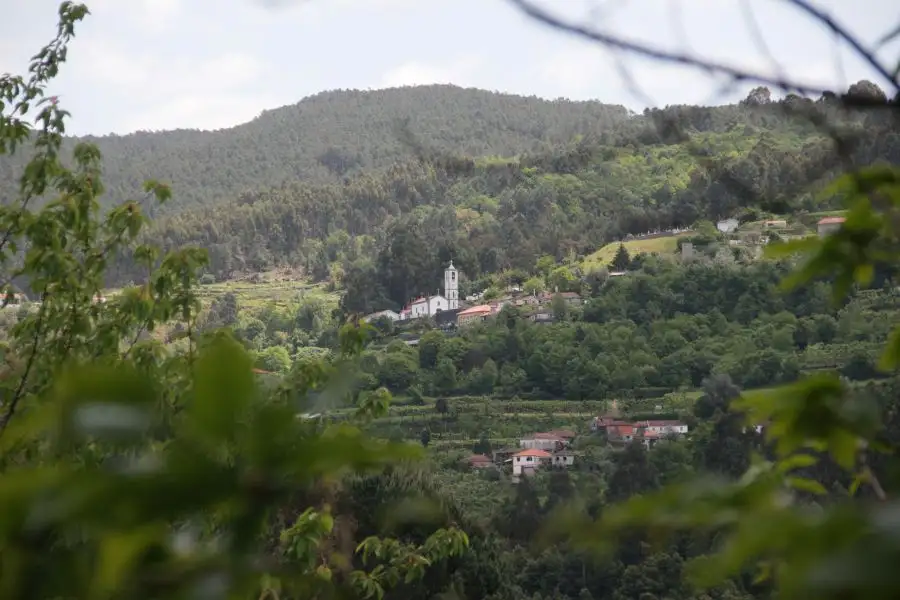 Quinta das Escomoeiras — Celorico de Basto