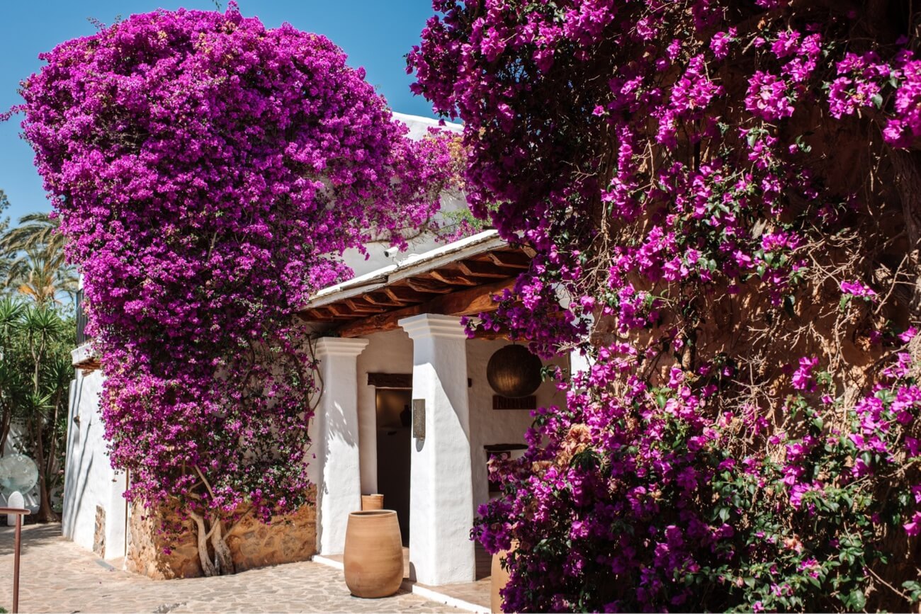 Atzaró Agroturismo Hotel — Santa Eulària des Riu