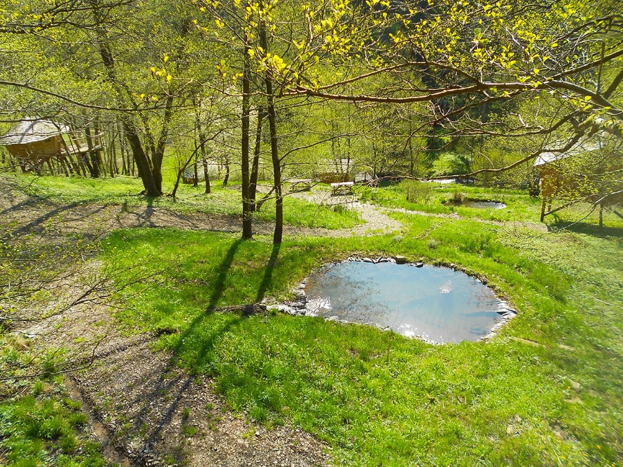 Les Cabanes du Goutty — Grandfontaine