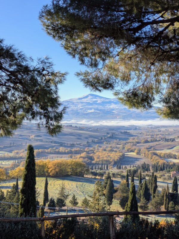 Podere Il Casale — Fattoria Biologica Pienza — Pienza