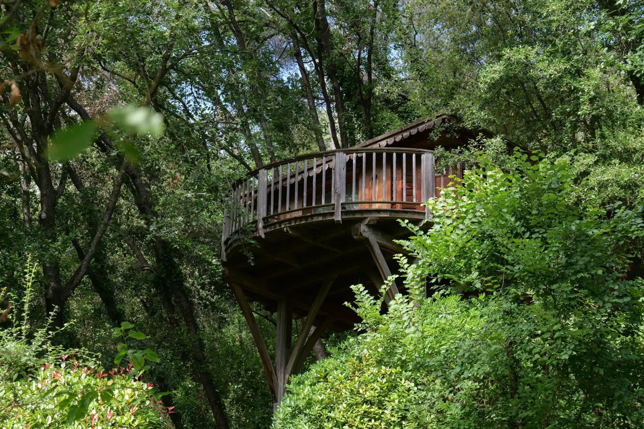 Orion Treehouses — Saint-Paul-de-Vence