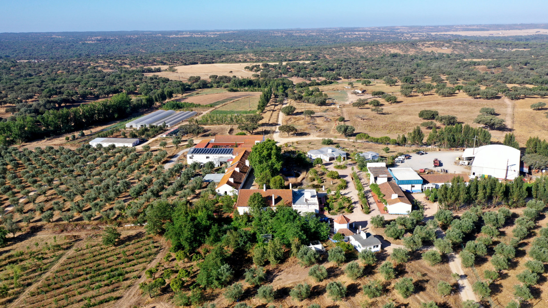 Herdade do Freixo do Meio — Alentejo — Montemor-o-Novo